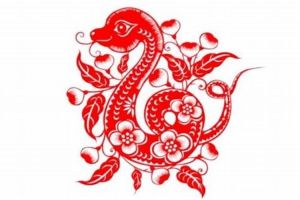 11月17日运势：属蛇虎鼠上升，把握时机关键！