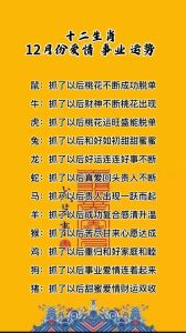 十二生肖十月运势揭秘：事业爱情双丰收指南