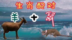 生肖鼠龙蛇羊未来月事业财富丰收，抓住机遇脱颖而出！