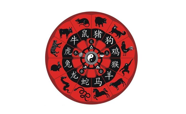 龙鼠猪兔生肖12天财富转折点