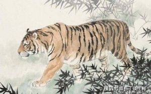 土星顺行：虎蛇羊鸡生肖好运连连