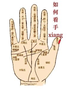 掌纹与命运：玄学传说与科学真相揭秘