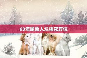 兔女马女爱情困局：破解烂桃花，找到真爱之道