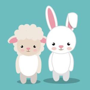 生肖猪马兔猴：独特个性铸就幸福人生