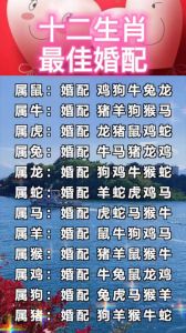 十二生肖最佳配对：贵人组合助力事业与爱情
