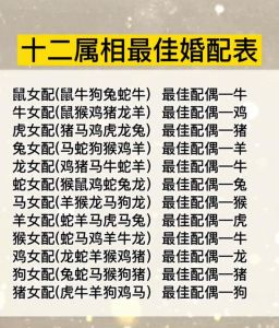 十二生肖最佳配对揭秘：鼠牛虎兔共铸辉煌