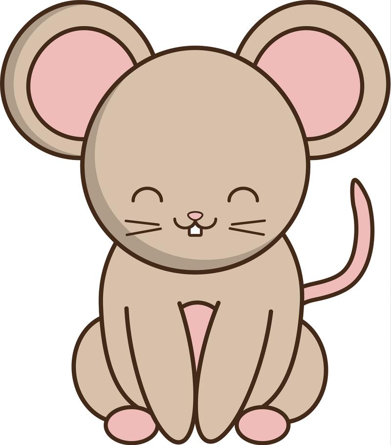 四大生肖好运年：鼠马鸡猪迎幸福人生