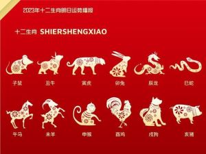 25天生肖好运：鼠猴龙蛇事业财运旺，抓住机遇！