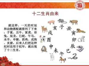 12月运势：猪羊蛇猴各显神通，事业爱情双丰收