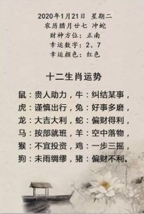 24天生肖运势：鼠龙羊狗家业双旺，如何抓住机遇？