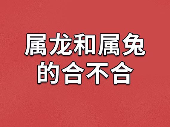 生肖财运高峰：属鼠龙马鸡必看投资时机！