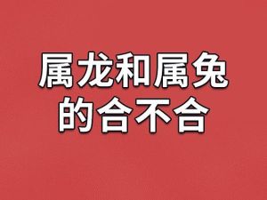 生肖财运高峰：属鼠龙马鸡必看投资时机！