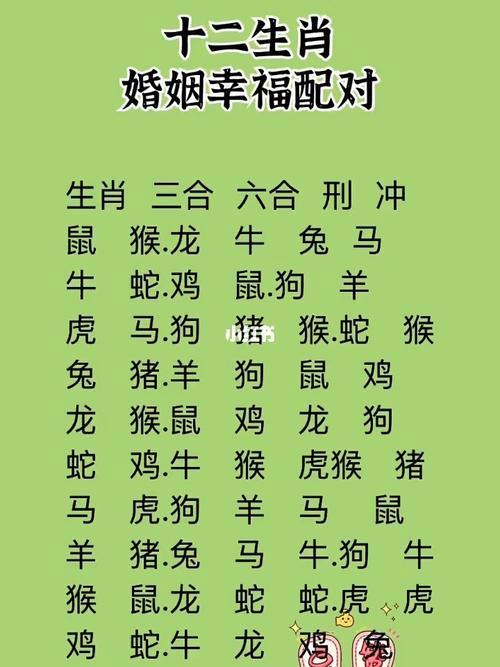 四大生肖桃花盛开：兔马鸡猪爱情甜蜜故事