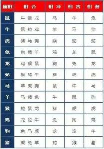 28天生肖好运指南：鼠龙羊马事业财运旺