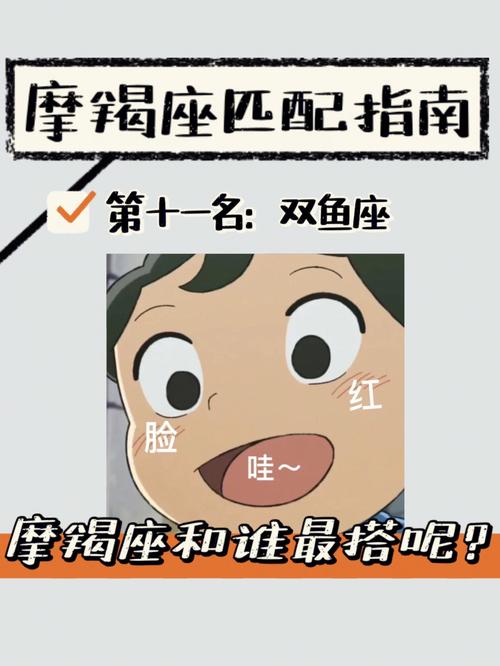 摩羯处女天秤双鱼：揭秘爱情财运与事业特点