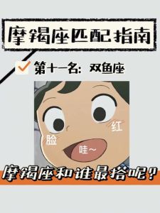 摩羯处女天秤双鱼：揭秘爱情财运与事业特点