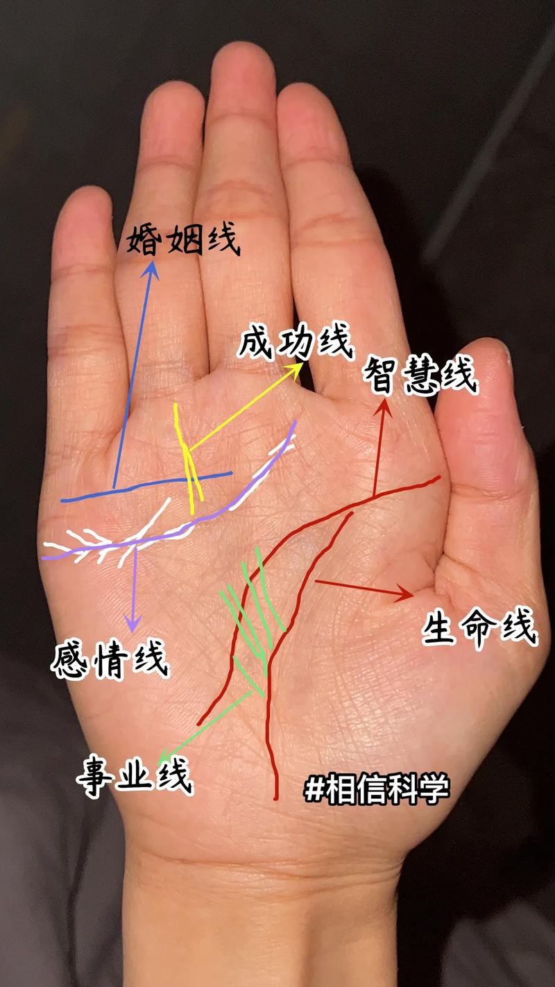 揭秘‘富贵手’手相特征及预示命运奥秘