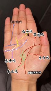 揭秘‘富贵手’手相特征及预示命运奥秘