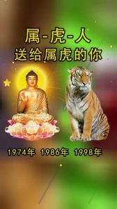 生肖智慧：属龙虎鼠成功启示录