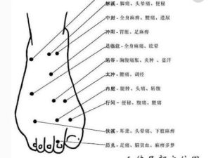 揭秘脚相学：脚纹痣相解析与运势预测