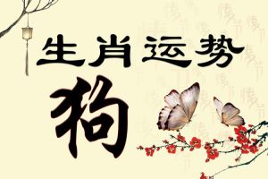 四大生肖未来四周运势高峰，财富机遇不容错过！