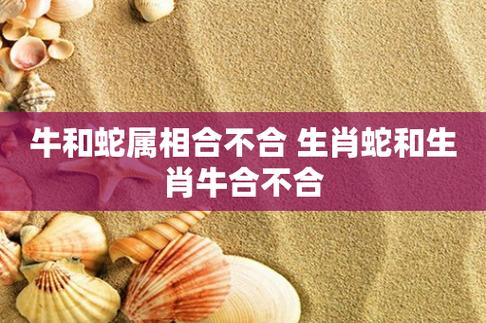 生肖牛蛇鸡爱情财运双丰收，抓住时机！