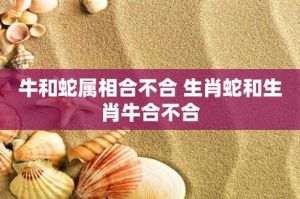 生肖牛蛇鸡爱情财运双丰收，抓住时机！