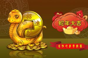 2025蛇年生肖运势：机遇挑战与未来展望