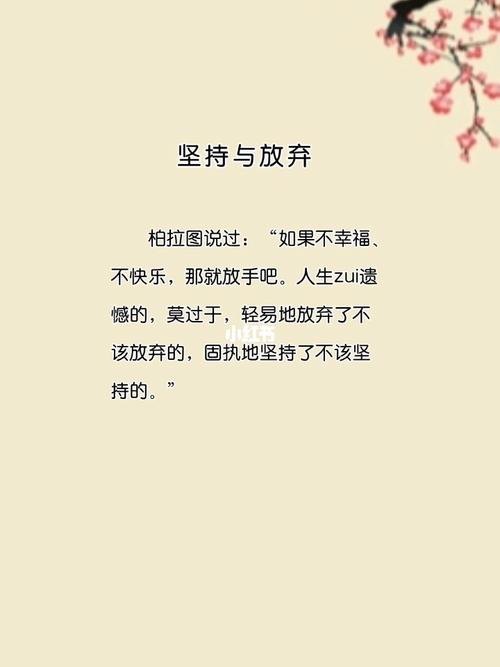 坚持与放弃：智慧抉择，成就梦想之路