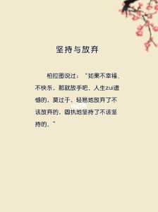 坚持与放弃：智慧抉择，成就梦想之路