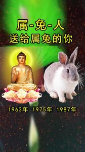 三大生肖女命运解析：兔女理财蛇女智慧牛女坚韧的富贵人生
