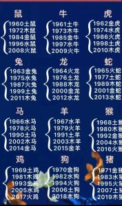 生肖运势揭秘：猴兔狗福气旺，命运掌握在自己手中