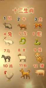 十二生肖晚年富贵解析：人生规划与努力之道