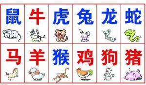 2025年生肖运势：龙蛇鸡大旺，掌握命运拼未来！