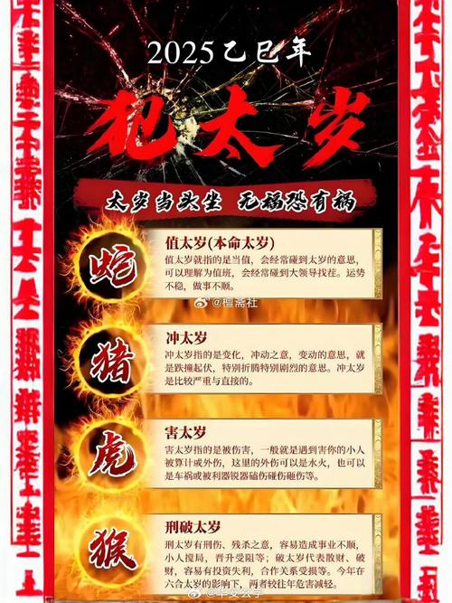 2025年生肖财运解析：龙马猴旺运与个人努力之道