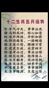 2024年11月19日好运生肖排行：鼠牛虎运势佳