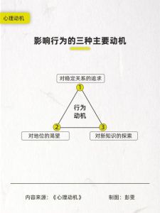 揭秘：喜欢拉黑的女性性格与心理动机
