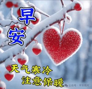 四大星座‘死心眼’：坚定爱情路，愿幸福相随