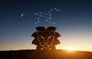 外表憨厚内心丰富的星座解析：智慧与领导力揭秘