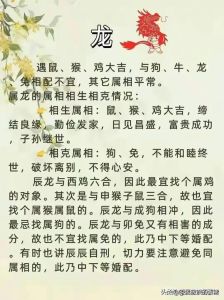 生肖牛蛇狗爱情观：坚守与放手的艺术