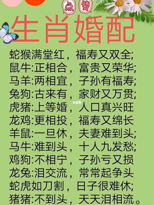 属龙虎猪马运势佳，把握时机幸福来