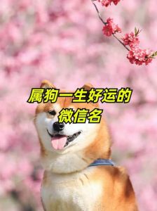 2025年属狗大吉：月德红鸾助力，生肖马兔虎为贵！