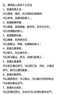 属蛇与属马情感沟通差异解析