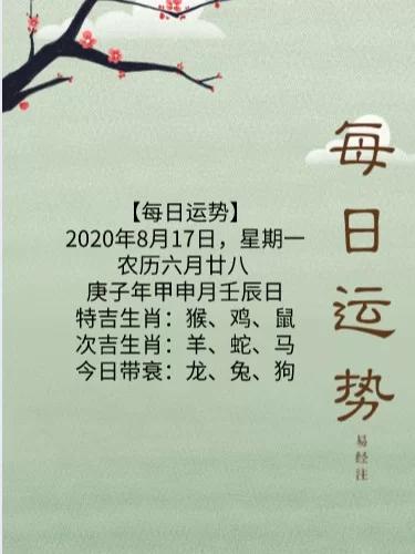 五周生肖运势：鼠牛龙猴财运旺，把握机遇升职理财