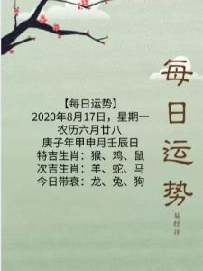 五周生肖运势：鼠牛龙猴财运旺，把握机遇升职理财