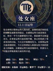 12月处女座运势挑战与应对策略