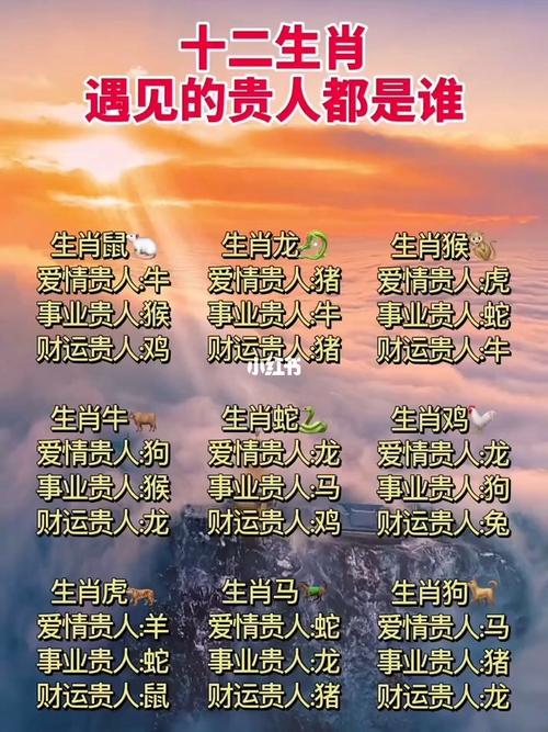 猪遇三生肖贵人，财运亨通转运指南