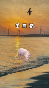 生肖猪的三大贵人揭秘：财运亨通的幸福密码