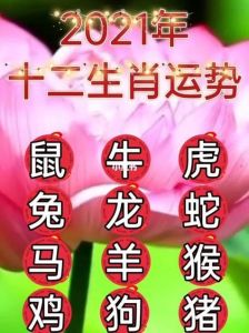 四大生肖好运特质解析：虎蛇羊狗展风采