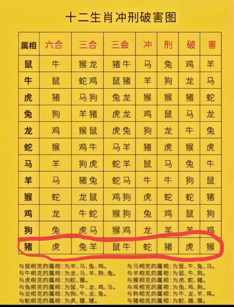 2024年生肖职场亮点：虎蛇马鸡跃升之道